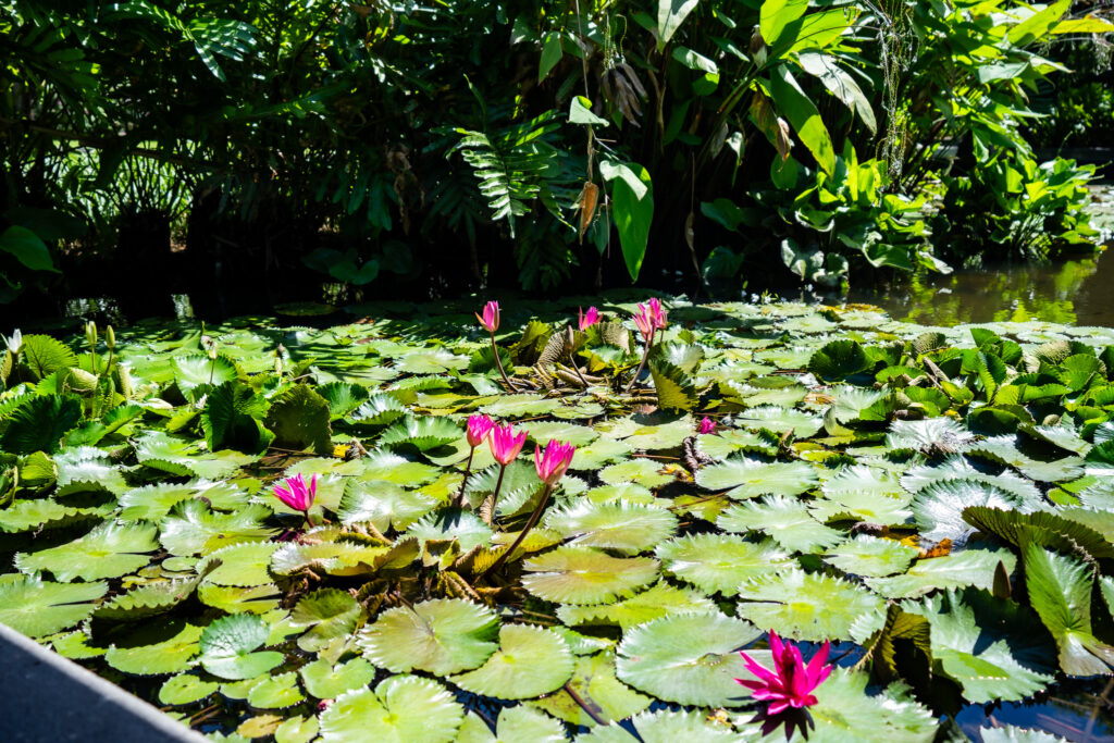Regency Club courtyard at Hyatt Regency Bali. Photo: Harmeet Sehgal